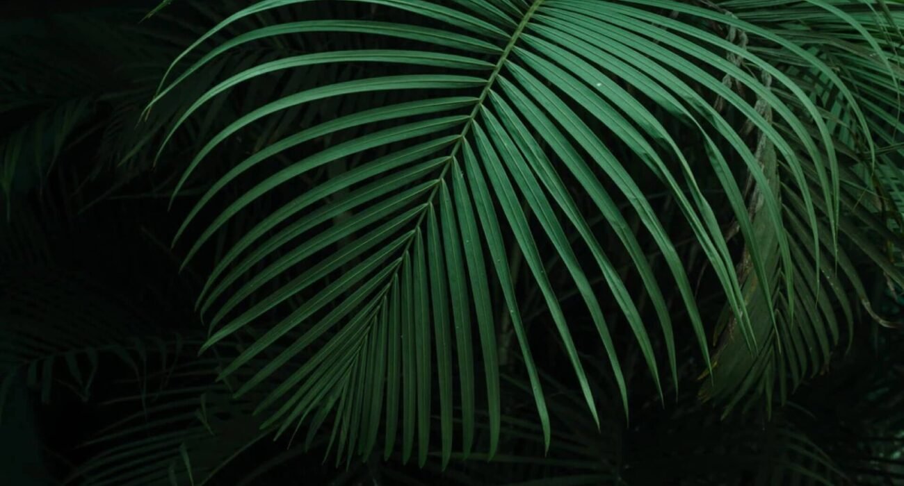 demo_image-7